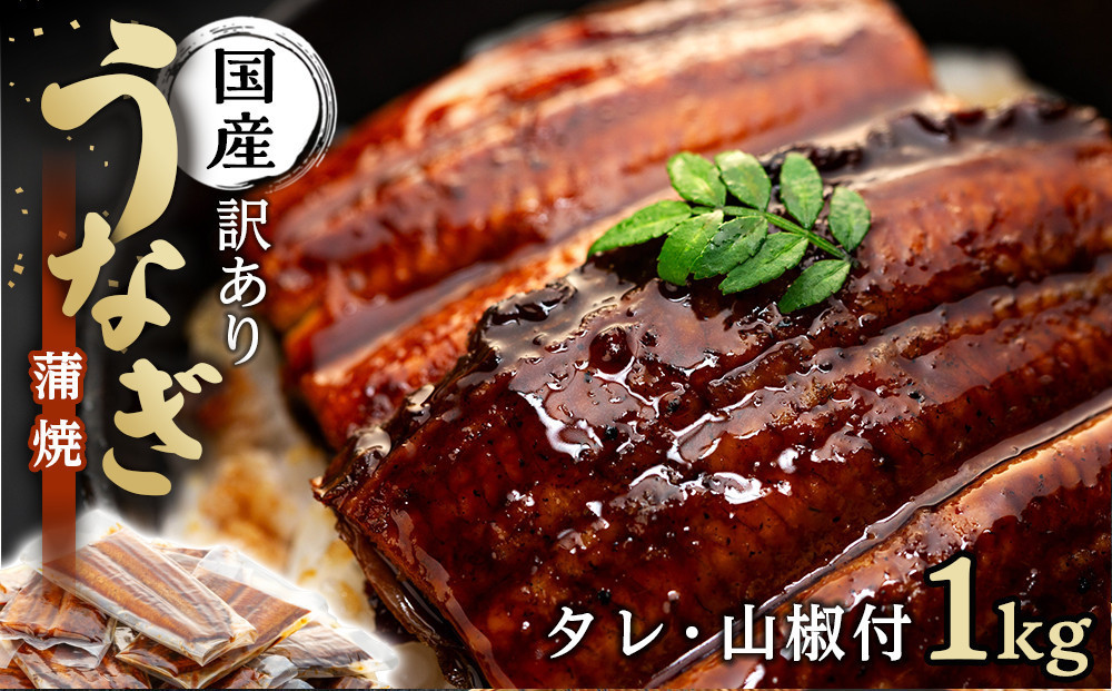 丑の日までにお届け 訳あり 国産 うなぎ 1食 パック 合計1kg 山椒 付き タレ 30個 付 数量限定