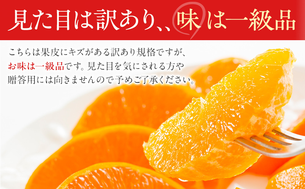 訳あり せとか 2.5kg M～2Lサイズおまかせ 高石垣ファーム