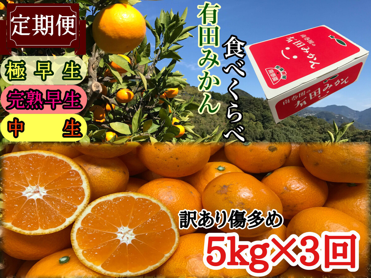 定期便 訳あり 傷多め 5kg × 3回 コース 有田みかん 食べくらべ 3種 全3回 南泰園
