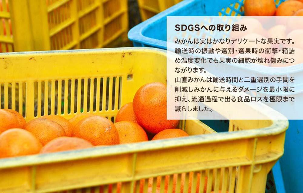 ã¿ãã æ¥µæ©ç å±±ããçŽé 箱蟌 2.5kg (å
容éçŽ 2.3kg) æ¡ãããŠãã®ãŸãŸããããèŠæ Œ æç°ã¿ãã åæå±±çç£ ãã¿ããã®äŒã2026幎10æäžæ¬é ããé æ¬¡çºéäºå®ïŒœ