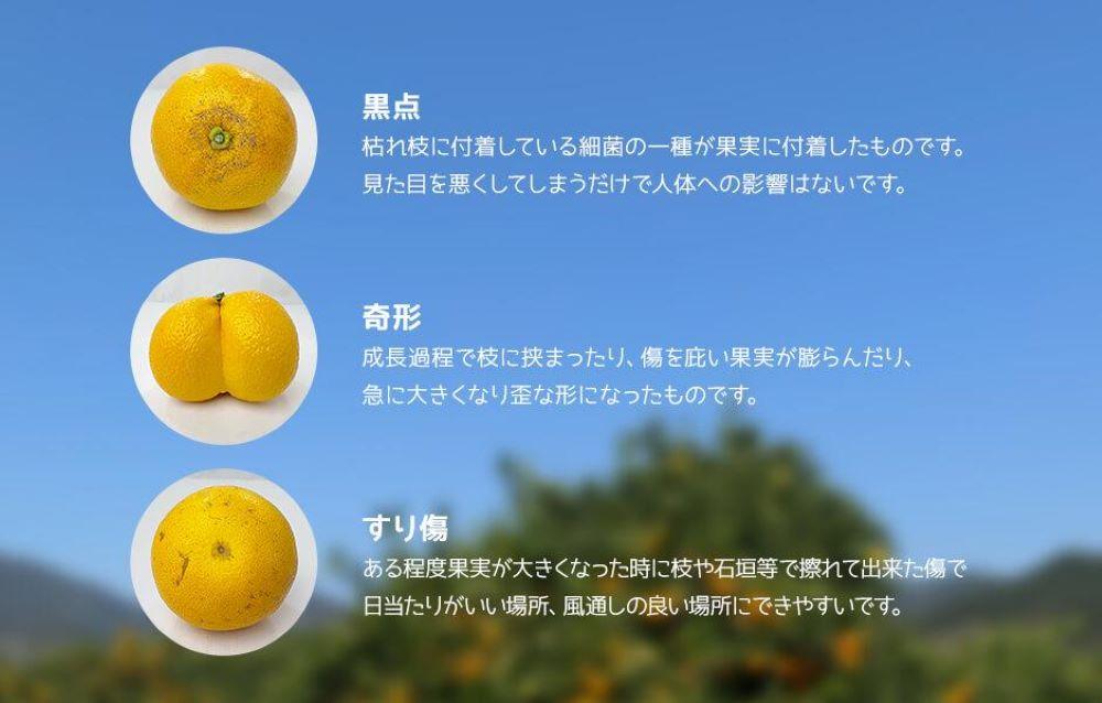 å
«æ èš³ãã ããã§ã æç°ã®å
«æ (ã¯ã£ãã) 箱蟌 10kg (å
容éçŽ 9.2kg) ãµã€ãºããã¯ã¹ Bå åæå±±çç£ ç£å°çŽéããŸãä»ãã¿ããã®äŒïŒœ