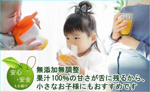 無添加100％みかんジュース 1000ml×1本【平武農園】～蛍飛ぶ町から旬の便り～