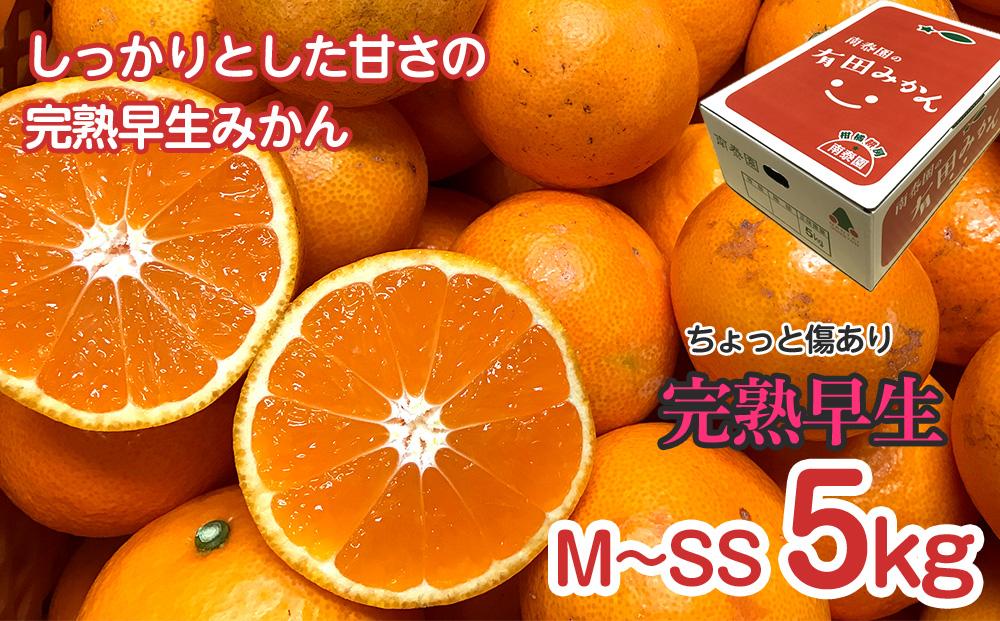 螳壽悄萓ソ 縺。繧縺」縺ィ 蛯キ縺ゅj 5kg テ3 蝗 繧ウ繝シ繧ケ 譛臥伐縺ソ縺九s 鬟溘∋縺上i縺ケ 3遞ョ 蜈ィ3蝗 蜊玲ウー蝨 縺ソ縺九s