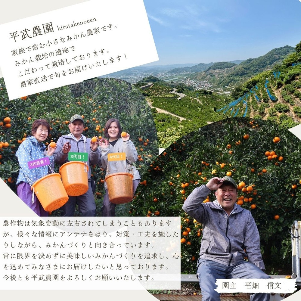 農家直送！なつみオレンジ 小玉3kg【平武農園】～蛍飛ぶ町から旬の便り～