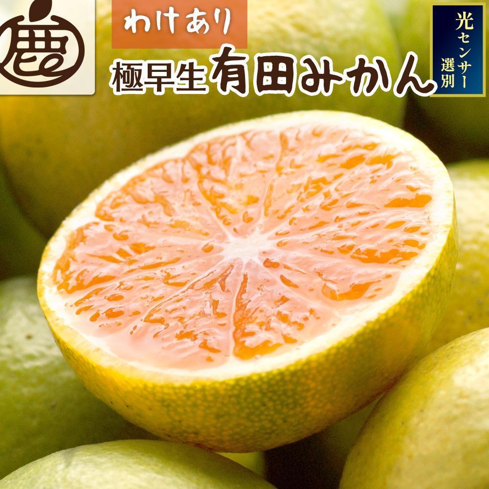 ［先行予約］家庭用 有田みかん（極早生）2.5kg+250g（傷み補償分）