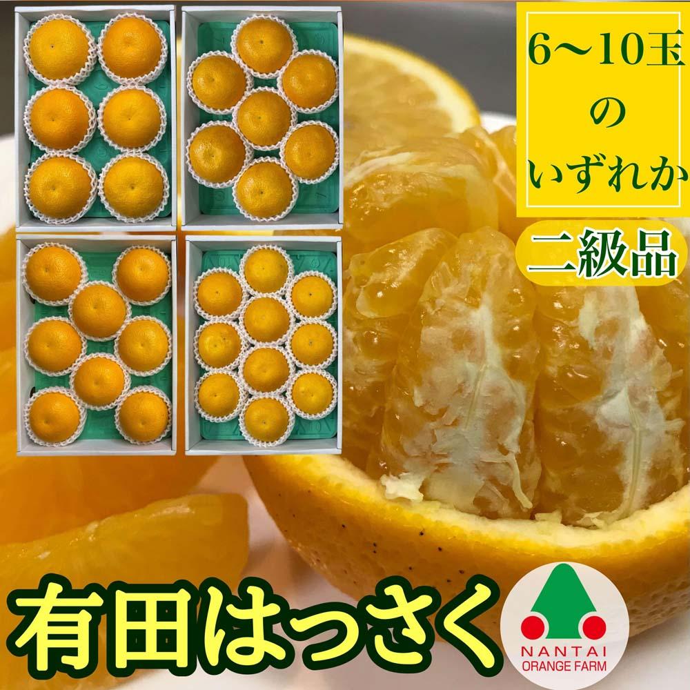 定期便 貯蔵 はっさく ＆ ハウス せとか 全2回 南泰園 二級品 セット みかん