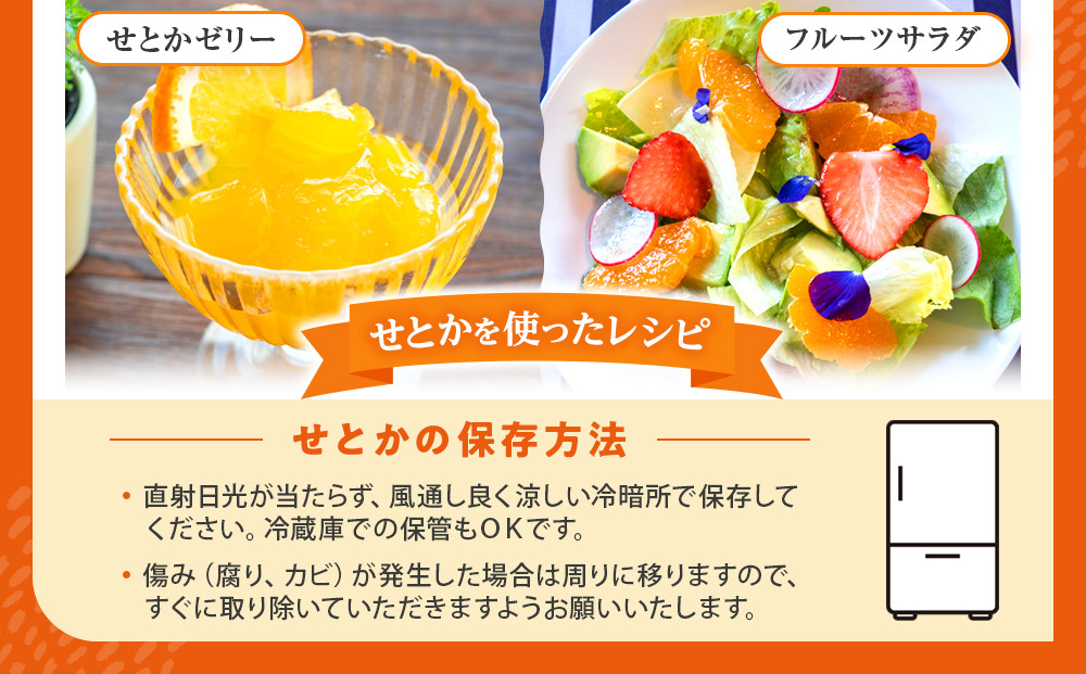 みかん の大トロ せとか 1.5kg 訳あり ブランド 和歌山 有田みかん 農家直送 オレンジ フルーツ 果物