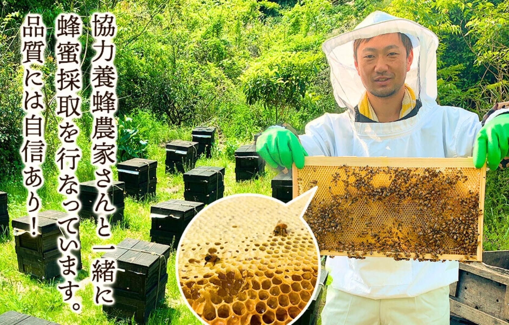 【母の日ギフト】有田のはちみつセット（みかん蜂蜜210g 百花蜂蜜210g 各1本）和歌山県産 産地直送【みかんの会】