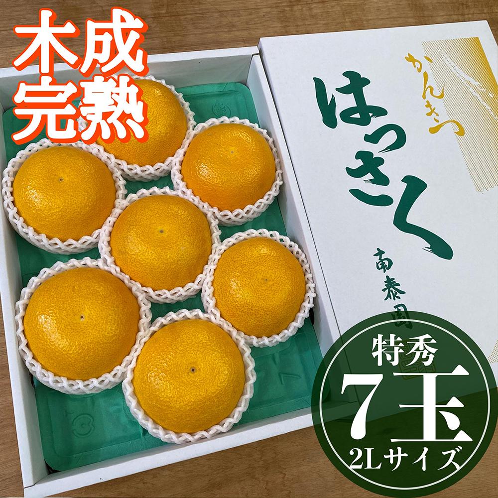 4月 まで 木成 完熟 させた 有田 はっさく 特秀 大玉 2L × 7玉 化粧箱 南泰園 みかん