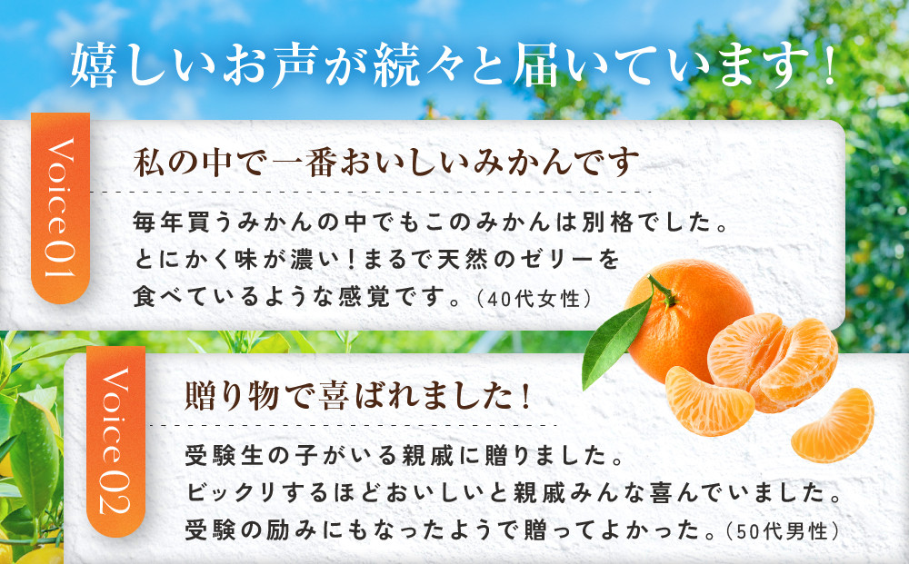 譛臥伐縺ョ繝悶Λ繝ウ繝峨瑚ウ「縺ソ縺九s縲5kg(Sス朖繧オ繧、繧コ縺翫∪縺九○シ峨#螳カ蠎ュ逕ィシサ2026蟷エ11譛井クュ譌ャ鬆繧医j鬆谺。逋コ騾シス