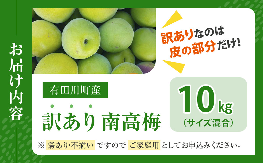 青梅 10kg 訳あり 紀州南高梅 シロップ・梅酒・梅干し用等 和歌山県有田産 2026年5月下旬～7月上旬発送予定