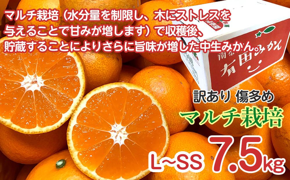 å®æäŸ¿ èš³ãã å·å€ã 7.5kg à 3å ã³ãŒã¹ æç°ã¿ãã é£ã¹ããã¹ 3çš® å
š3å åæ³°å ã¿ãã