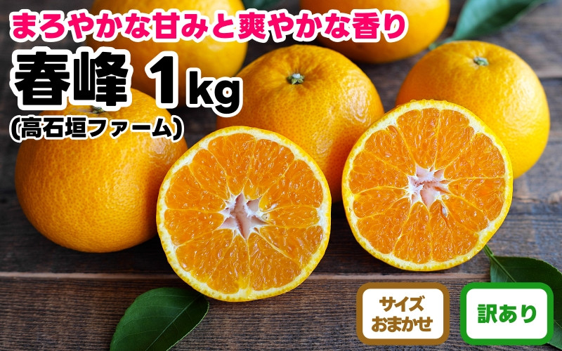 訳あり 春峰 1kg M～2Lサイズおまかせ 高石垣ファーム