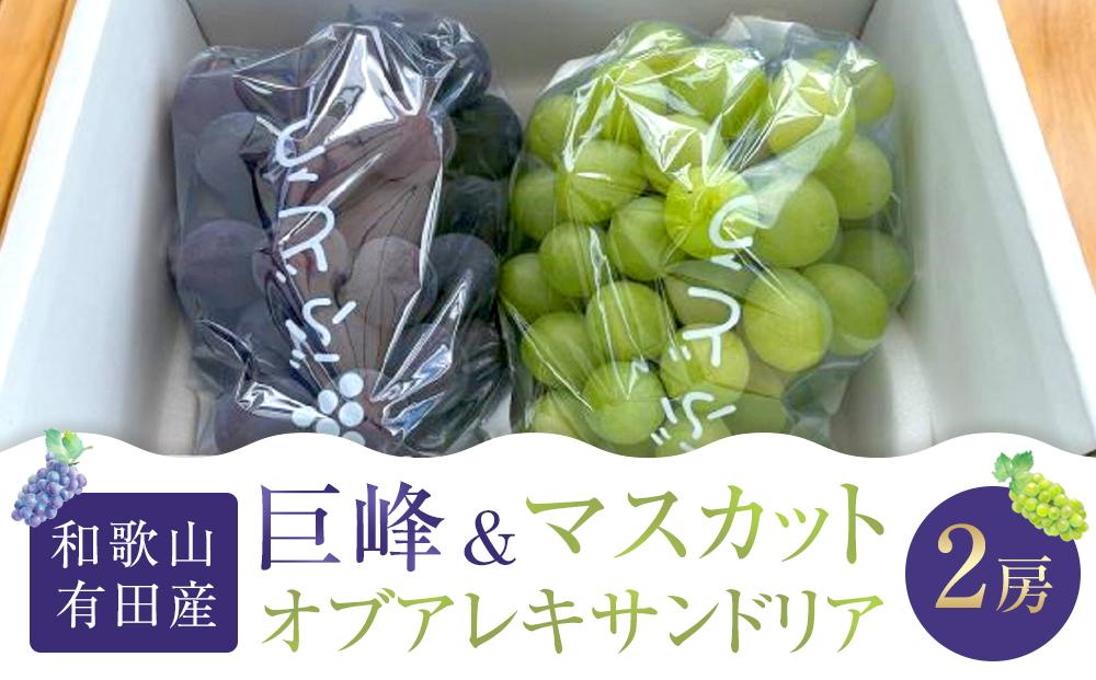 先行予約 和歌山 有田産 2色 ぶどう 詰め合わせ 巨峰 マスカットオブアレキサンドリア［2026年8月下旬以降発送］