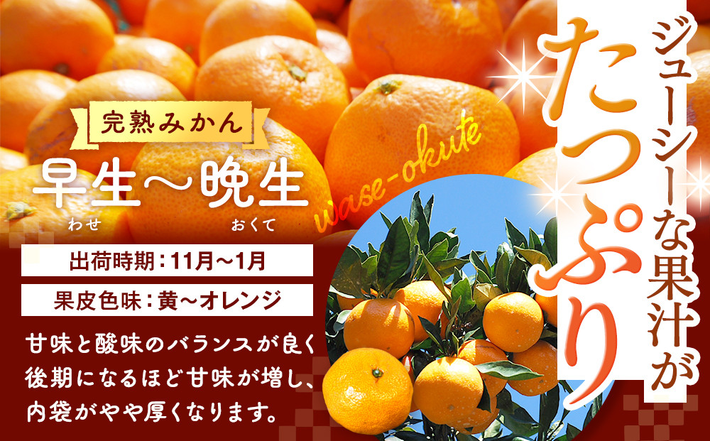 縺ソ縺九s 螻ア縺九i逶エ騾 邂ア霎シ 邏1kg(蜀螳ケ驥冗エ 0.9kg) 繧オ繧、繧コ繝溘ャ繧ッ繧ケ 蜥梧ュ悟アア逵檎肇 逕」蝨ー逶エ騾 螳カ蠎ュ逕ィシサ2026蟷エ11譛井クュ譌ャ繧医j鬆谺。蜃コ闕キ莠亥ョ夲シスシサ縺ソ縺九s縺ョ莨夲シス