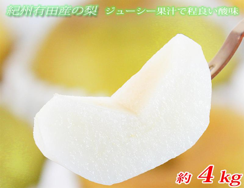 ジューシー果汁の紀州有田産の梨約４kg 　化粧箱入【先行予約】【2026年8月中旬以降発送予定】