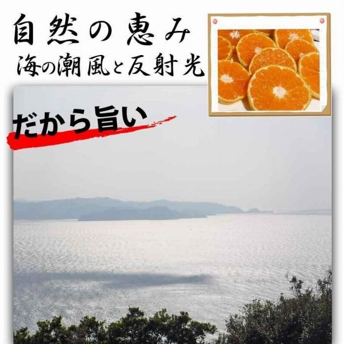 みかん 2.5kg  ご家庭用　和歌山県有田川町産　有田みかん ありだみかん