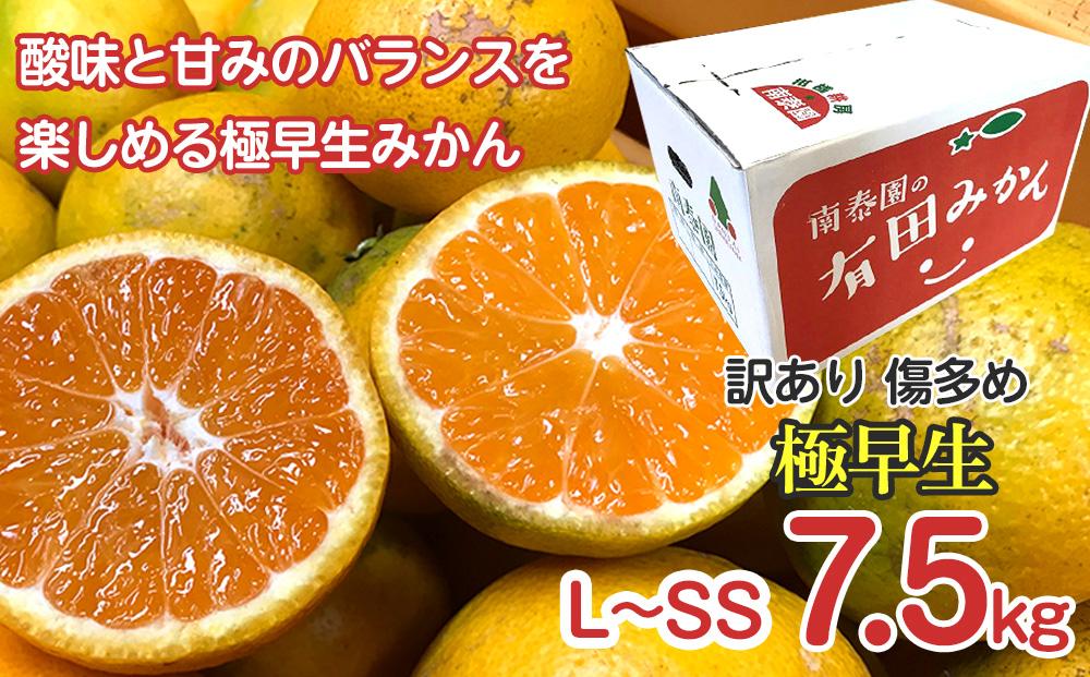 å®æäŸ¿ èš³ãã å·å€ã 7.5kg à 3å ã³ãŒã¹ æç°ã¿ãã é£ã¹ããã¹ 3çš® å
š3å åæ³°å ã¿ãã