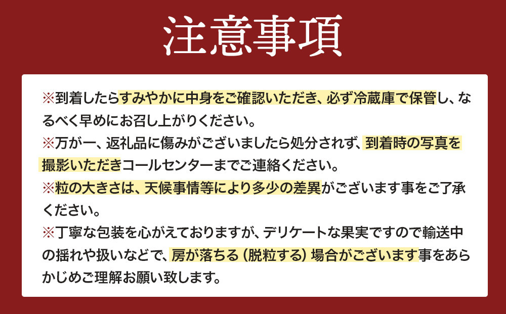【先行予約】朝採り 巨峰 約1kg (2～3房) 有田巨峰村 大南農園【2026年8月中旬頃より順次発送】