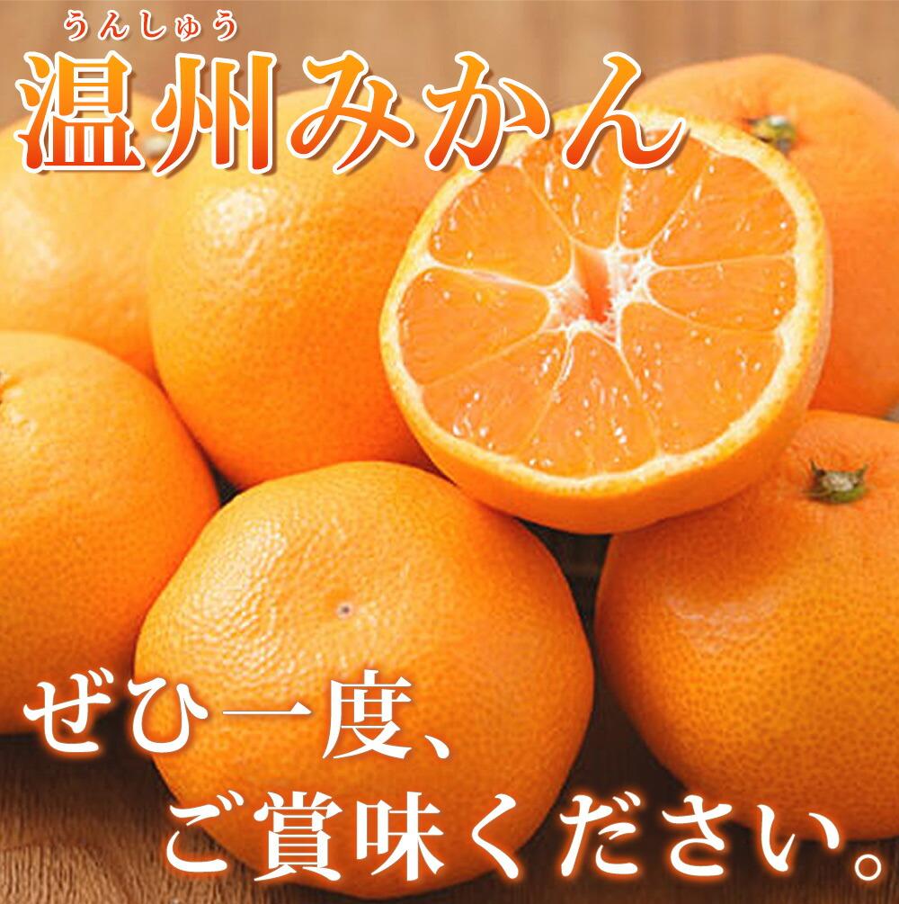 ［ご家庭用訳アリ］紀州有田産温州みかん7.5kg［2026年11月下旬以降発送］［先行予約］［UT10w］