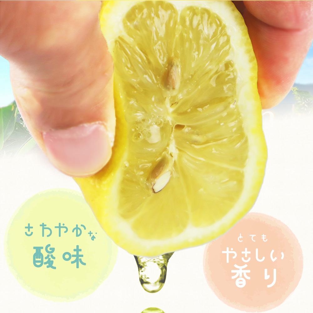遘蜩 邏蟾樊怏逕ー逕」繝ャ繝「繝ウ 2.5kgシサ2027蟷エ3譛井ク頑流莉・髯咲匱騾シスシサ蜈郁。御コ育エシス
