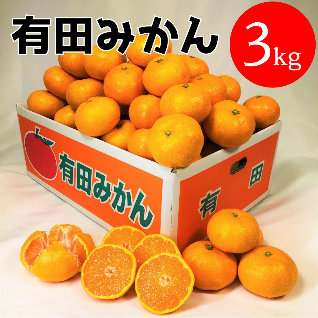 有田みかん 3kg (約27個～30個)