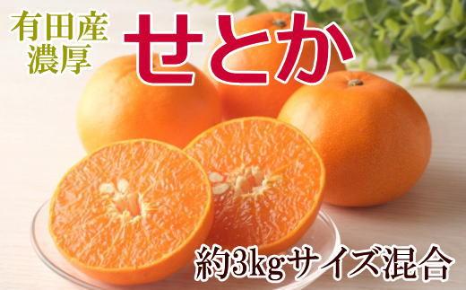 一度は食べていただきたい「有田産のせとか」約3kg（サイズ混合）★2027年2月中旬頃より順次発送