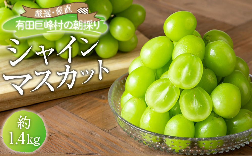 ［先行予約］シャインマスカット 約1.4kg  (2房～4房) 有田巨峰村 【朝採 新鮮】 ■2026年発送■※8月下旬頃から9月下旬頃まで順次発送予定