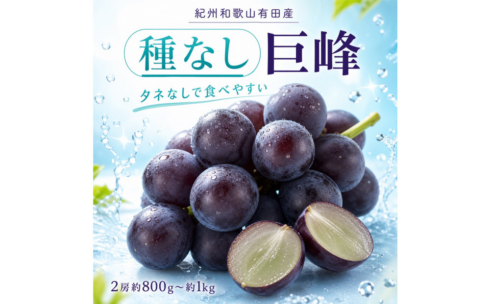 紀州有田産の種なし巨峰ぶどう２房（約800g〜1kg）【2026年発送 先行予約】