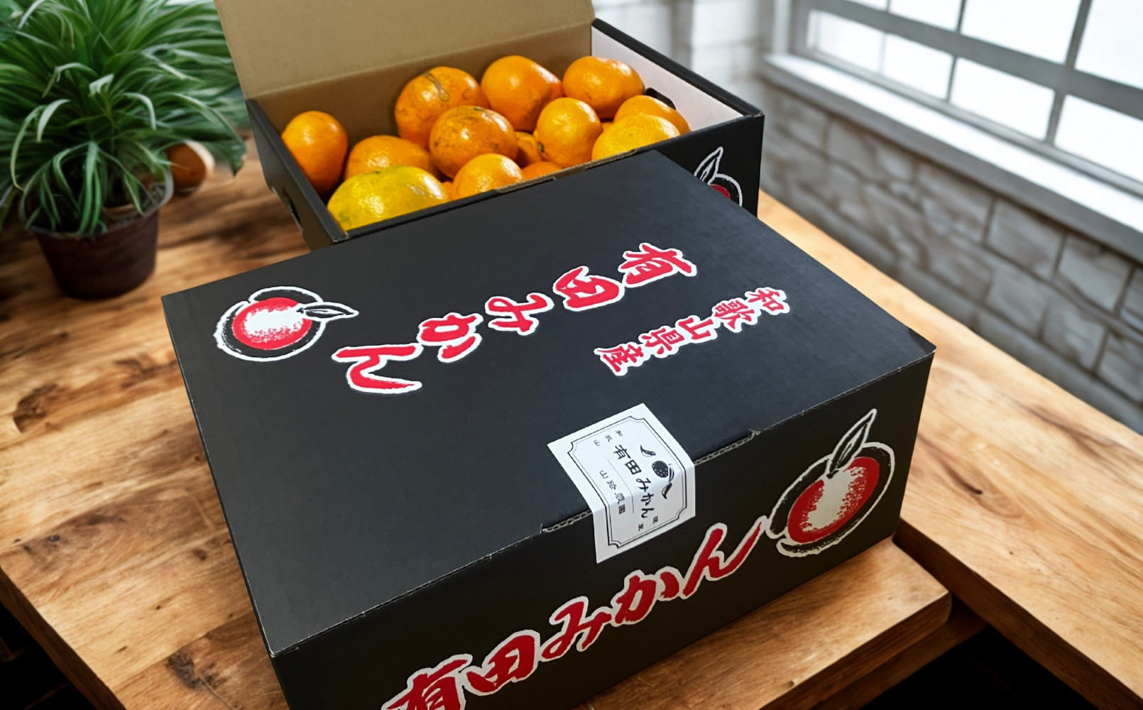 【訳あり】有田みかん 約10kg 家庭用