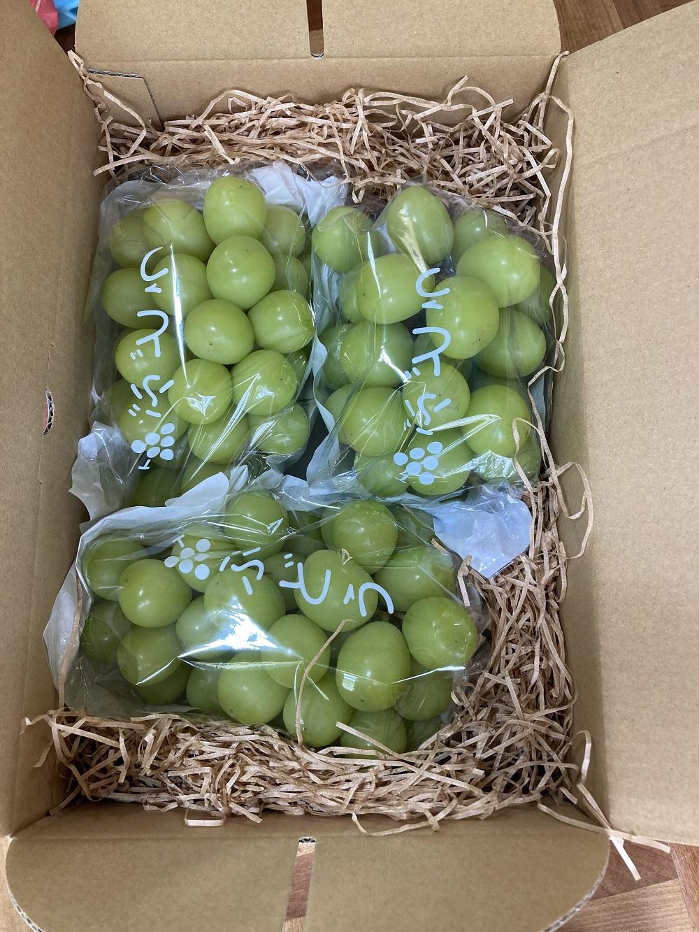 【先行予約】有田産 シャインマスカット 約 2kg 有田巨峰村 森下農園 ぶどう 送料無料 フルーツ マスカット シャインマスカット★2026年9月上旬から順次発送
