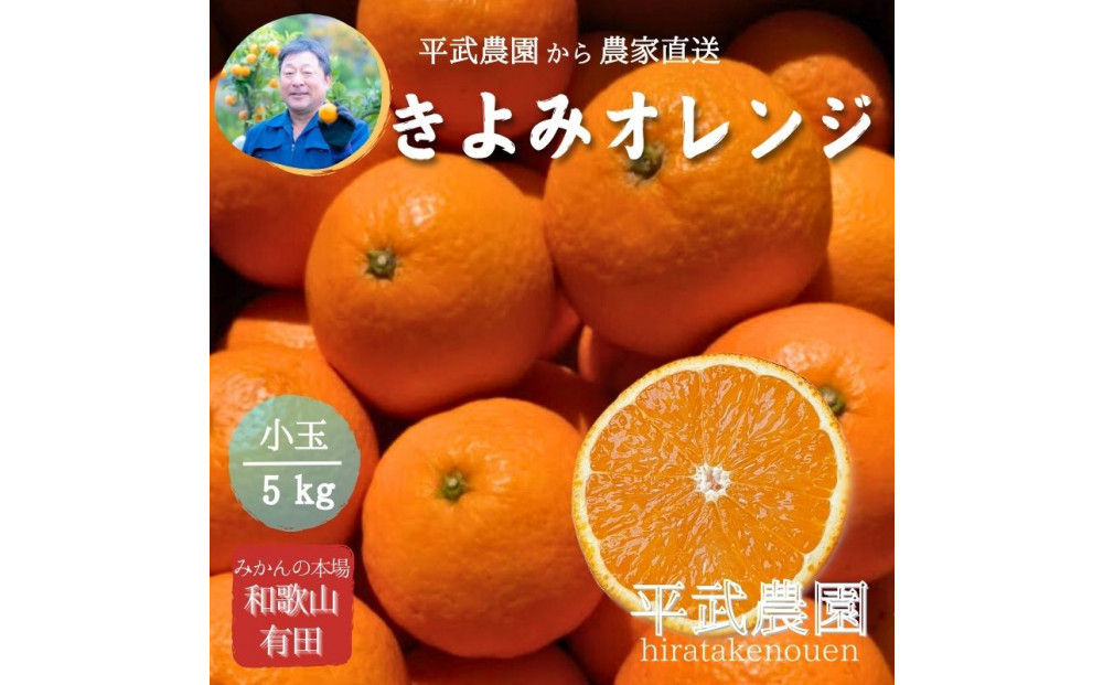 農家直送！きよみオレンジ 小玉5kg［平武農園］～蛍飛ぶ町から旬の便り～［2026年3月下旬から順次発送予定］