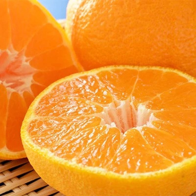 åæå±±æç°ã®æ¿å倧çãã³ãã³ 12ïœ15ç çŽ5kgå
è¡äºçŽïŒœïŒ»MS79w