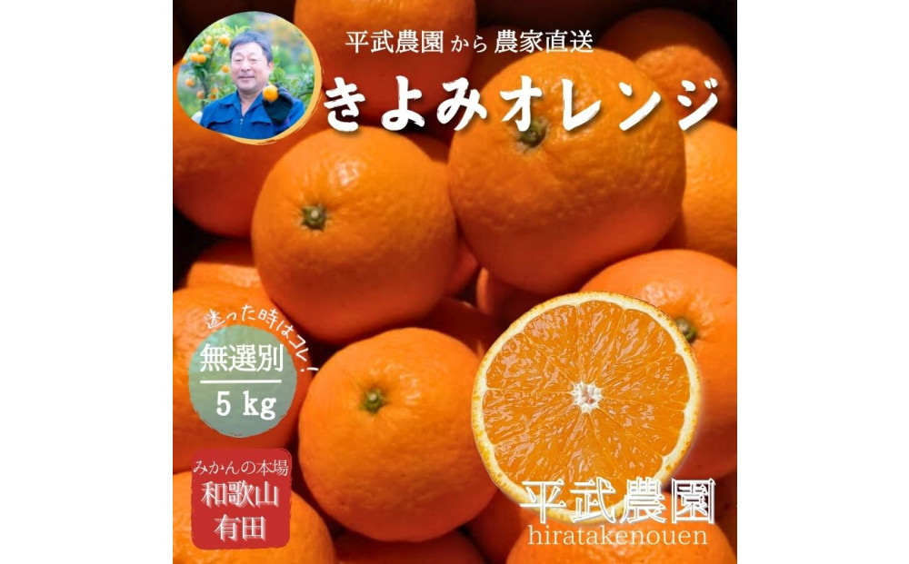 農家直送！きよみオレンジ 5kg 無選別≪秀品・訳あり品・サイズ混合≫［平武農園］～蛍飛ぶ町から旬の便り～［2026年3月下旬から順次発送予定］