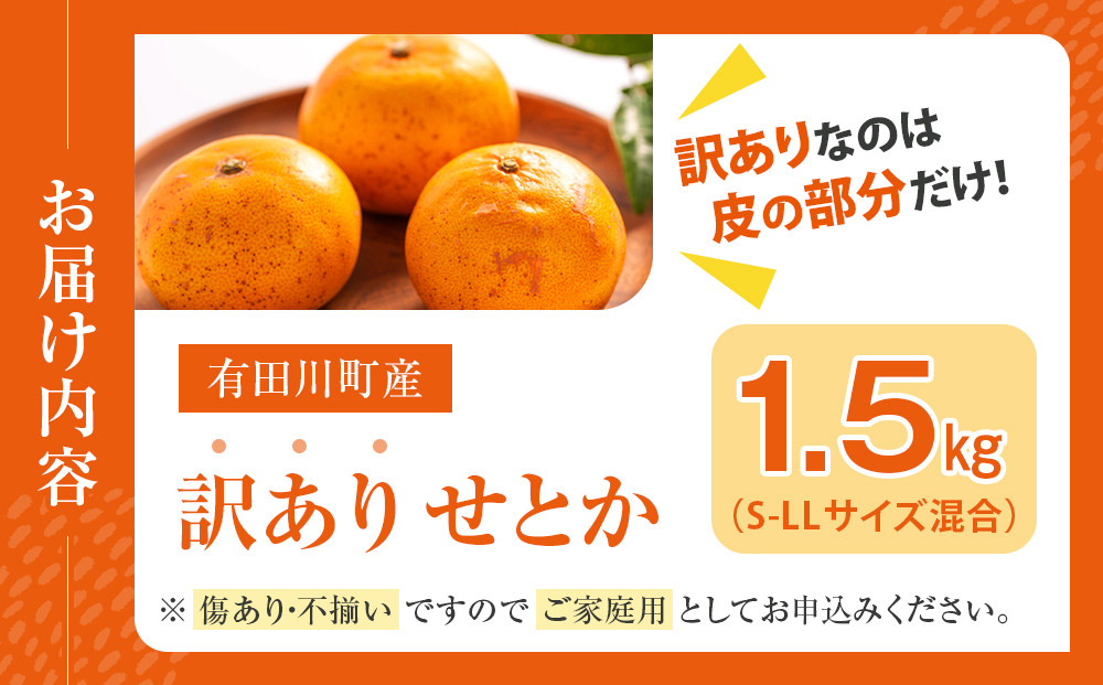みかん の大トロ せとか 1.5kg 訳あり ブランド 和歌山 有田みかん 農家直送 オレンジ フルーツ 果物