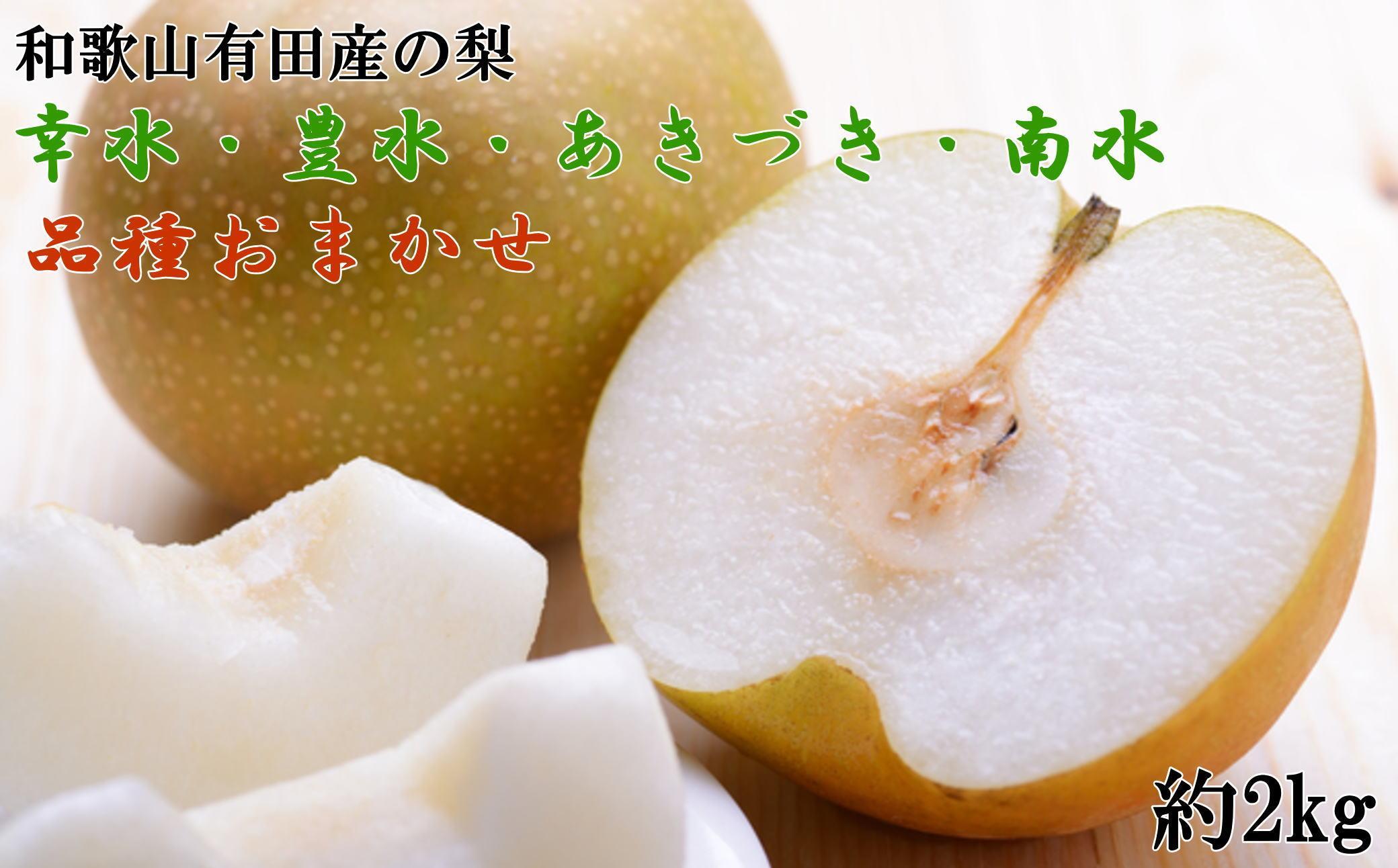 【産直】和歌山有田産の梨約2kg（品種おまかせ）★2026年8月上旬頃より順次発送