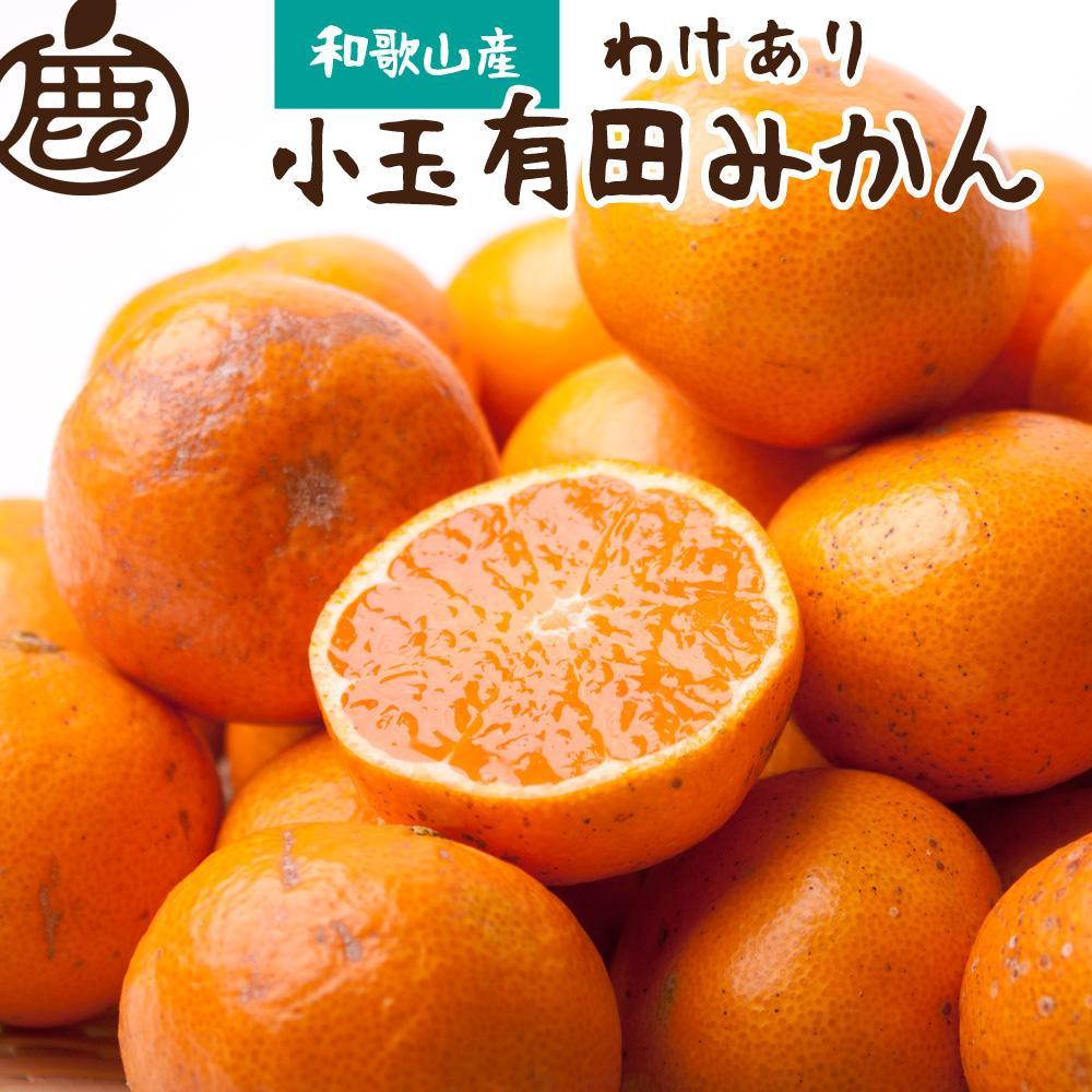 ［先行予約］家庭用 有田みかん（小玉）10kg+250g（傷み補償分）