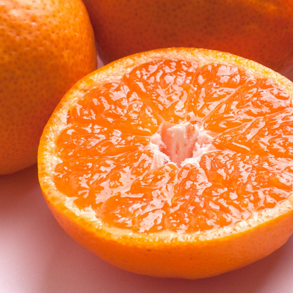 極プレミアム有田みかん 約1kg 定期便 全3回 10月・11月・12月発送