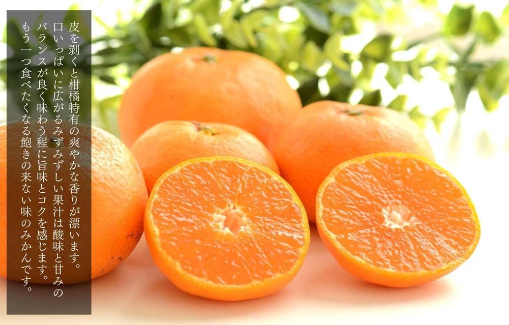 ã¿ãã Lãµã€ãº ç§å 箱蟌 7.5kg (å
容éçŽ 6.8kg) æç°ã¿ãã åæå±±çç£ ç£å°çŽé èŽççš ïŒ»2026幎11æäžæ¬ããé æ¬¡åºè·äºå®ïŒœïŒ»ã¿ããã®äŒïŒœ