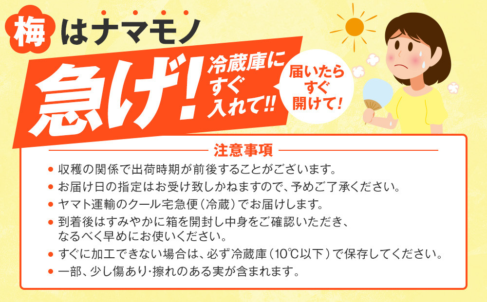 手もぎ 完熟南高梅 15kg L～2Lサイズ 谷本農園