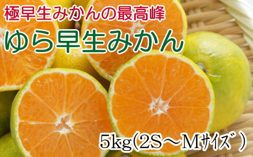 ［極早生みかんの逸品］有田産ゆら早生みかん約5kg★2026年10月中旬頃より順次発送