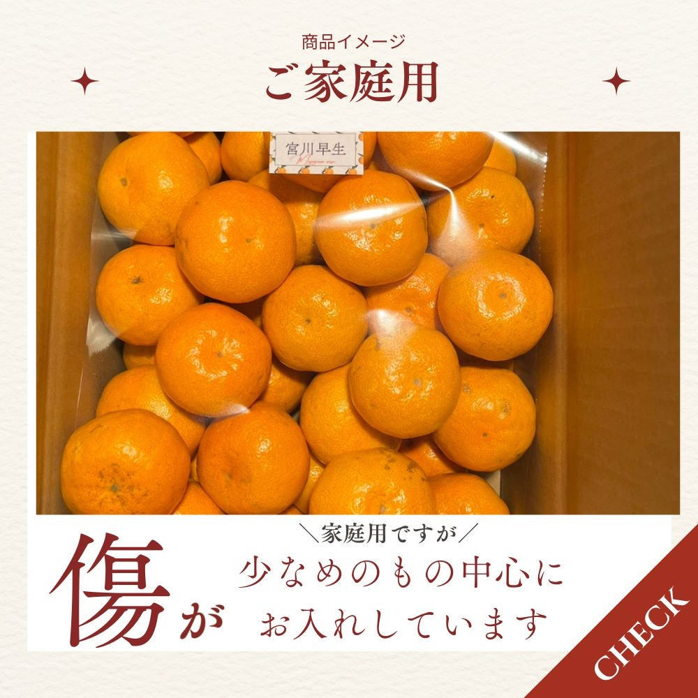 【ふるさと納税】【先行予約】有田みかん 早生 温州みかん 4.5kg（箱込み5kg）家庭用 S～Lサイズ おまかせ 柑橘 フルーツ みかん 産地直送 お取り寄せ 送料無料 温州ミカン