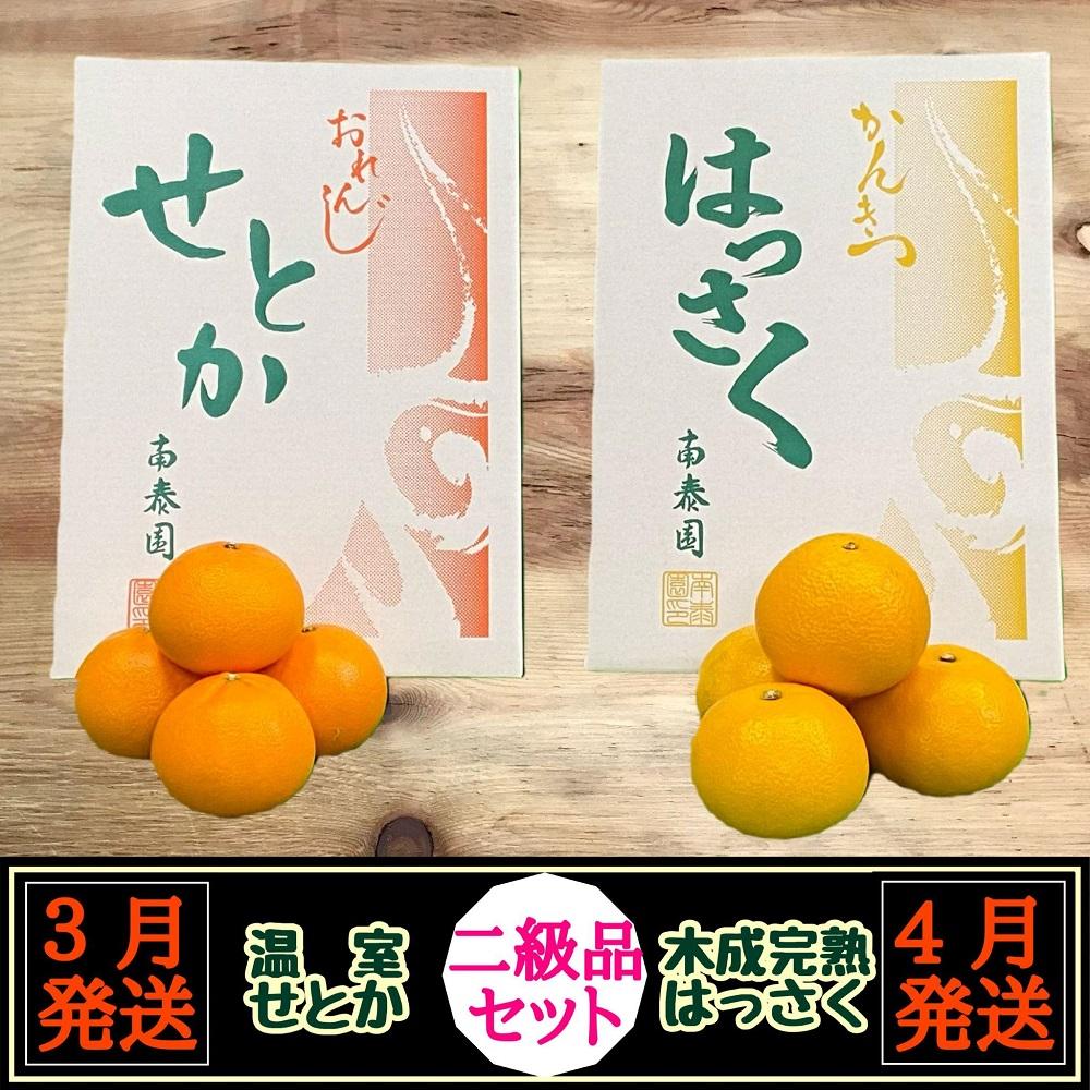定期便 春に楽しむ ハウス せとか ＆ 木成 完熟 有田 はっさく 傷あり 二級品 セット 全2回 南泰園