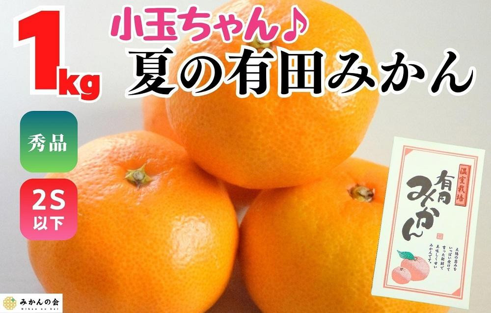 【5月出荷予定】小玉ちゃん ハウスみかん 温室栽培 夏の有田みかん 1kg 秀品 2Sサイズ以下 和歌山県 産地直送 みかんの会