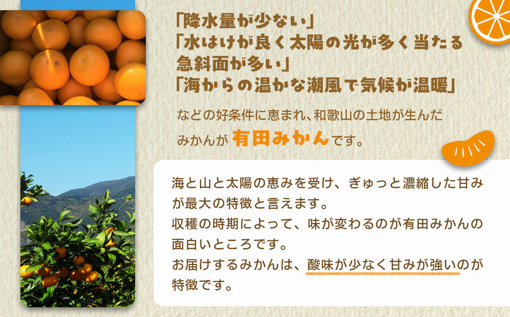 産地直送 贈答用 有田みかん Mサイズ 約10kg 喜楽farms 【2026年11月以降順次発送】