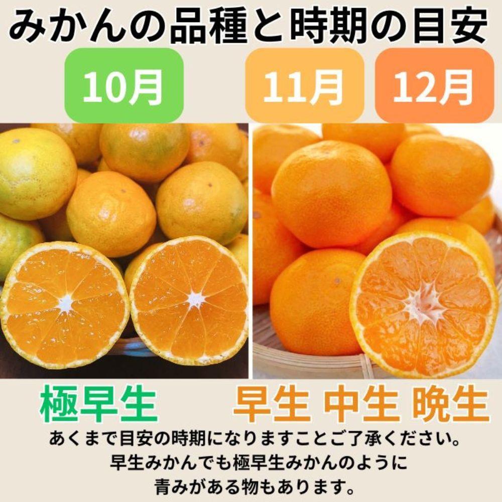 有田みかん 由良早生S～Lサイズ混合 約5kg 【2026年発送 先行予約】