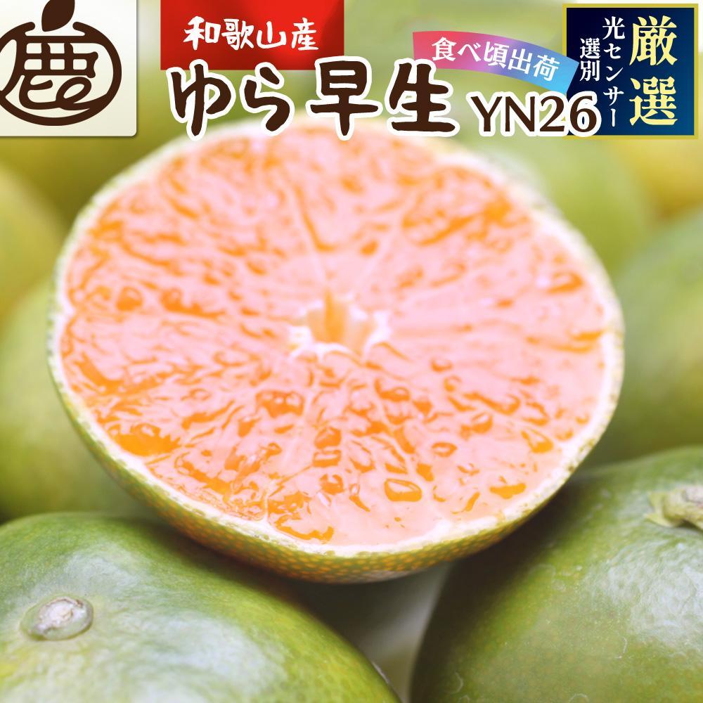 ［先行予約］プレミアム 有田みかん（ゆら早生）2.5kg+250g（傷み補償分）