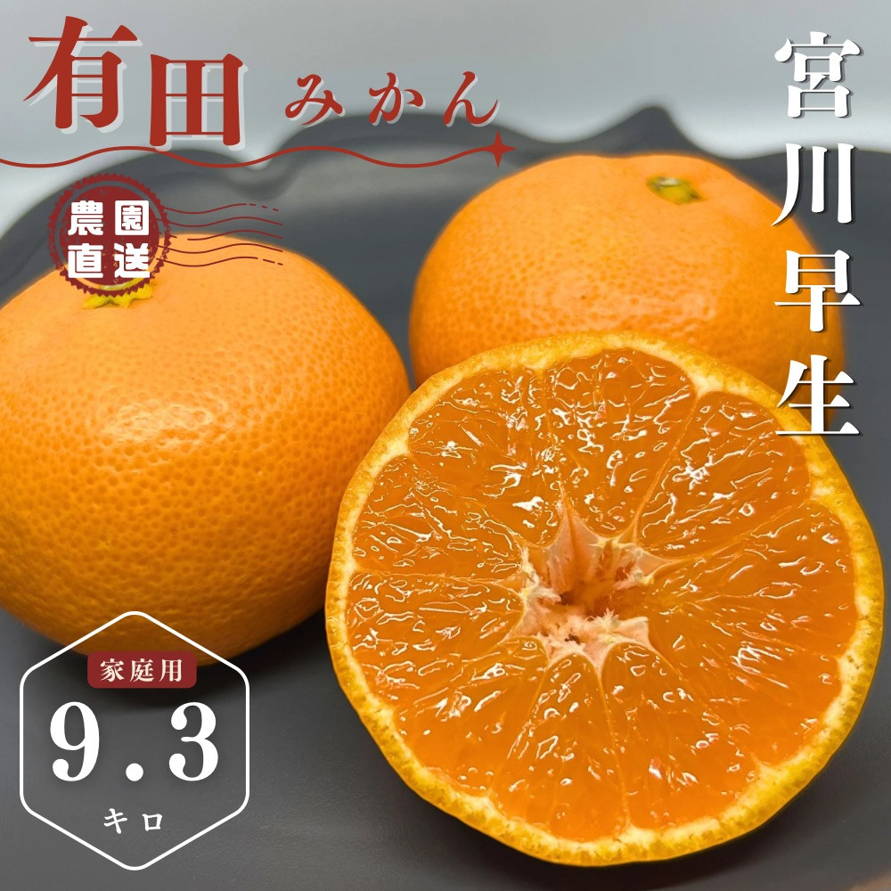 【ふるさと納税】【先行予約】有田みかん 早生 温州みかん 9.3kg（箱込み10kg）家庭用 S～Lサイズ おまかせ 柑橘 フルーツ みかん 産地直送 お取り寄せ 送料無料 温州ミカン
