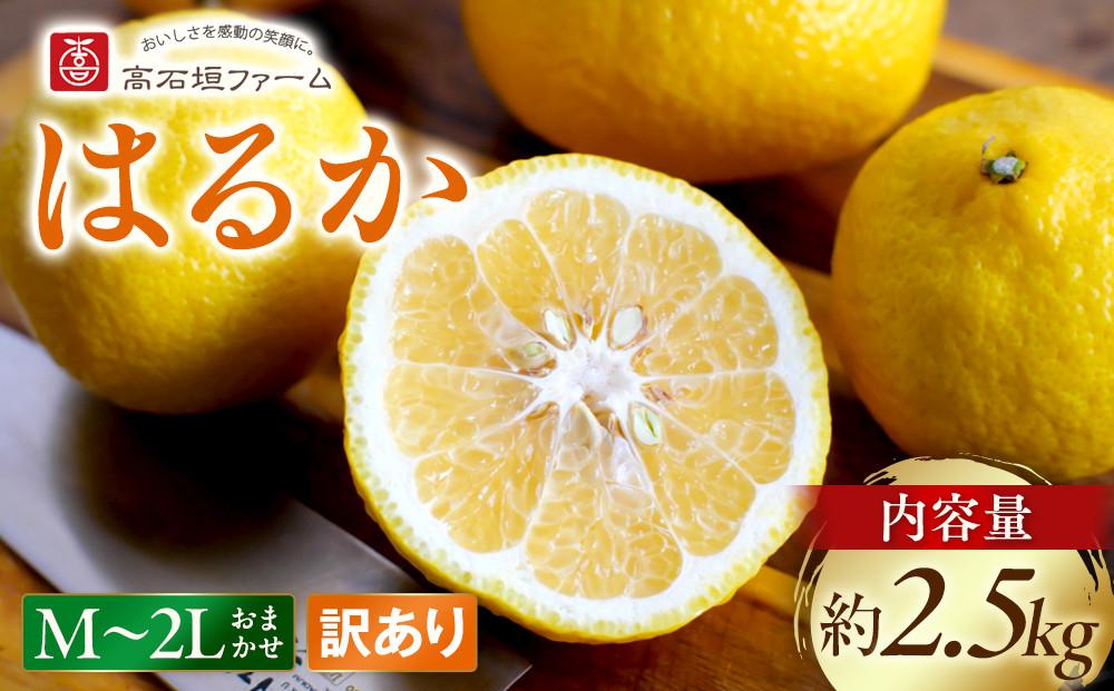 訳あり はるか 2.5kg M～2Lサイズおまかせ 高石垣ファーム