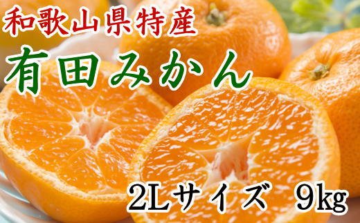 [秀品]和歌山有田みかん約9kg(2Lサイズ) ★2026年11月中旬頃より順次発送［TM85w］